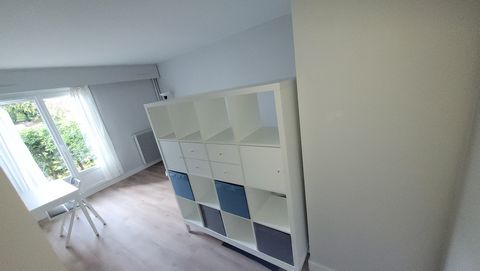 photo no. 1