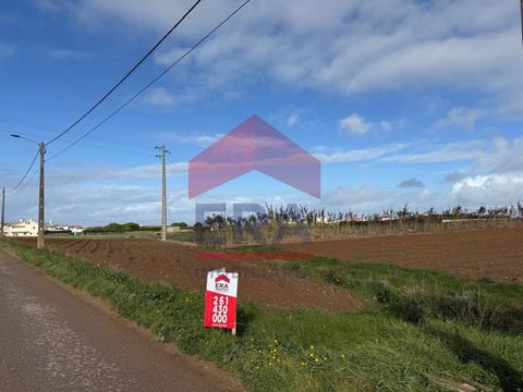 Rustic land with 2440m2 with sea views. With good access, located in a quiet village, about 15 minutes from Peniche and 10 minutes from Lourinhã. For more information or to schedule your visit, contact us on: (phone hidden) Call to the national landl...