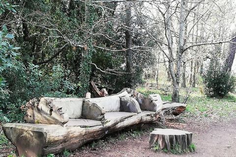 L'incantevole spiaggia di Fogeo è a 700 m a piedi. Il porto di Crouesty e i suoi negozi sono a pochi passi dal residence. I negozi del paese di Arzon sono facilmente accessibili (1,3 km). La penisola di Rhuys, tra il Golfo del Morbihan e l'oceano, pr...