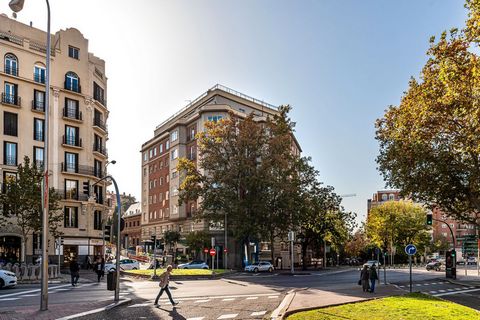 Velzia Homes presents this impressive property in the process of renovation, of approximately 431 m², in the Salamanca district. The house has 4 bedrooms, 4 bathrooms, 1 toilet, large living-dining room with balcony, equipped kitchen and laundry. In ...