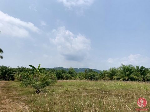 A beautiful plot of land is for sale, measuring 60 rai. Its width is approximately 560 meters next to a concrete road, and its length is approximately 250 meters. The land is close to the public highway and available on the Chanote title deed. The su...