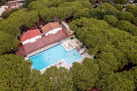 An oasis in the middle of lush nature and with a private beach! The Jesolo Mare Family Village offers everything you need for the perfect holiday. The gently sloping beach is ideal for children to swim or build sandcastles. Parents can relax on the l...