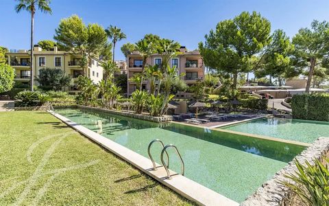 Ontdek de charme van exclusiviteit in Camp de Mar met dit spectaculaire appartement op de begane grond in de prestigieuze luxe residentie, op slechts een steenworp afstand van het strand. De residentie bestaat uit zes gebouwen met in totaal 32 modern...