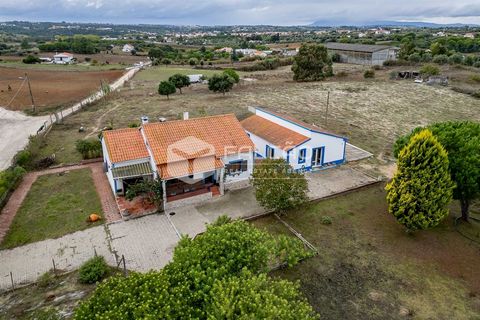 Finca de 17.440 m² con dos viviendas, cerca de Cartaxo. Con una ubicación privilegiada, ofrece el equilibrio perfecto entre la vida tranquila en el campo y la comodidad urbana. Incluye dos viviendas independientes. La casa principal, con su acogedor ...