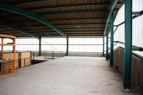 photo no. 1