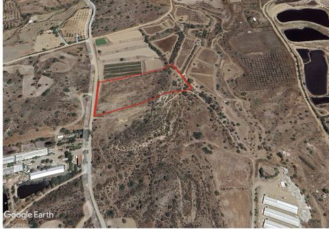 For sale, Land plot, in Monagroulli Village. 13445 sqr. m., Agricultural 10%, witch road and electricity. Title. Price: €200,000. Century 21 Cyprus