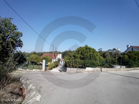 Small farm next to Santarém, with housing, various annexes and several fruit trees, including about 30 citrus fruits. Company water, 110-meter borehole, well and mine. Three-phase low. Partially sealed. You can make your small farm at the gates of Sa...