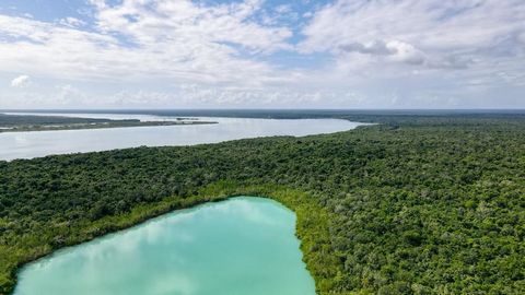 Make Bacalar the setting of your dreams! Imagine owning 1,000 m² of land in front of the majestic Lagoon of the Seven Colors, a paradisiacal corner where turquoise blue merges with the sky. This exclusive land is not only a place, it is an opportunit...