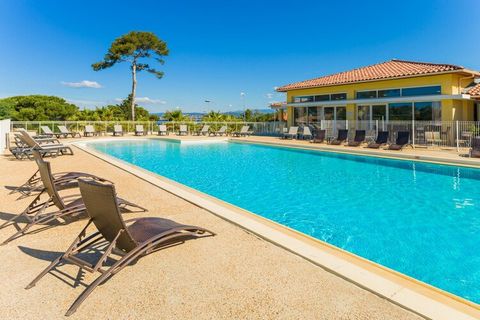 Ten ładny apartament znajduje się w czterogwiazdkowej rezydencji Les Terrasses des Embiez. Znajduje się w dzielnicy portowej Le Brusc w Six-Fours-Les-Plages, około 200 m od pierwszych sklepów. Piaszczysta plaża oddalona jest o 500 m; około. 10 minut ...