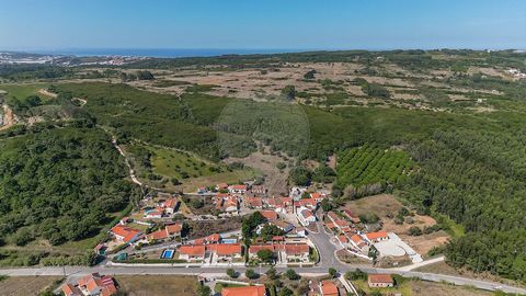 Maison de plain-pied de 3 chambres à Serra do Bouro, entre la plage de Foz do Arelho, São Martinho do Porto et la ville de Caldas da Rainha Points forts : Pour ceux qui apprécient la tranquillité, combinant parfaitement les vues sur la campagne avec ...