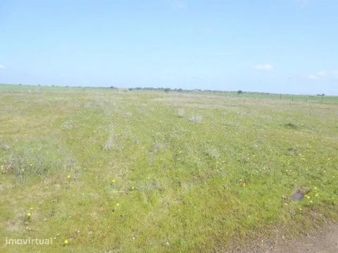 Agricultural land with 2.35ha in S. Marcos do Campo, near Alqueva, is 5 km from Lake Alqueva, 10 km from the River Beach of Amieira and about 30 km from Monsaraz and the River beach. On this land it is possible to put an agricultural support infrastr...