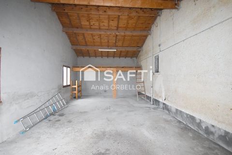 photo no. 6