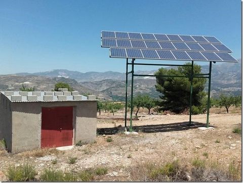 Dit land is gelegen in Cortijo Ramos, 18658, Restabal, El Valle, Granada. Het is een land met 171120 m2 . Olijfgaarden in volle productie met druppelirrigatie over het hele landgoed. Het is zeer goed onderhouden. Het heeft een eigen waterput en irrig...