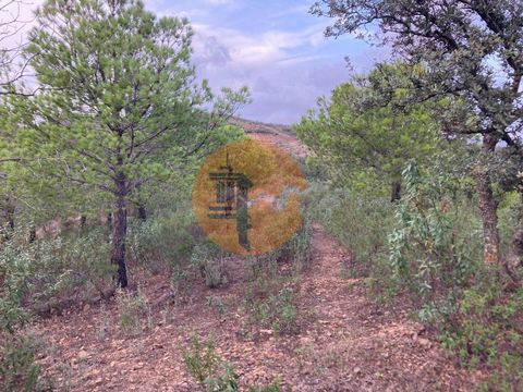 Terreno di 32.440 m2, vicino a EM512 tra Corte Pequena e Magoito - Castro Marim - Algarve. Possibilità di realizzare un magazzino e/o un appoggio agricolo. Vista panoramica sulle montagne dell'Algarve. Terreno con alcuni alberi. Buon accesso. Terreno...