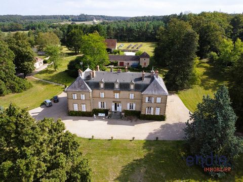 Immerse yourself in the history and charm of this exceptional estate, nestled on 53 hectares of land, five minutes from Moulins. Frédéric CANCRE and Michel MORGADO present this unique place which hosts a charming castle dating from the seventeenth, e...