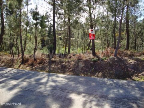 Land with pine forest and an agricultural part very well situated. Excluded from the SCE, under Article 4 of Decree-Law No. 118/2013 of 20 August.
