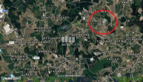 Plot for construction with 370m2, for sale. Possibility of construction of individual housing . Excellent sun exposure and well located in Malta, Vila do Conde. Ref.: PV08577 FEATURES: Plot Area: 370 m2 Area: 370 m2 Area: 370 m2 Energy Efficiency: Ex...