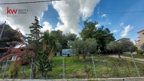 For sale, land plot, in Markopoulo - Porto Rafti. The land plot is even and buildable, for development, inclined, amphitheatrical, downhill, fenced, triple-sided, it is close to sea, seaside, in residential zone. Listing Agent: Katerina Gotsi KW Cosm...