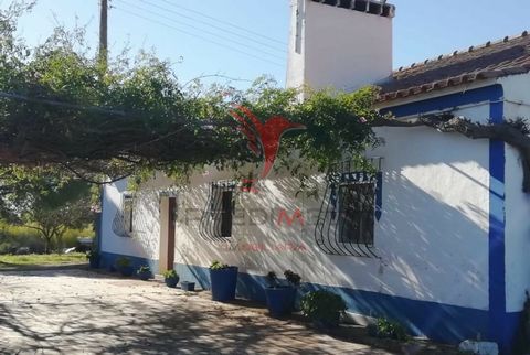 Halfway between the riverside villages of Mina do Bugalho and Aldeia do Rosário, almost on the banks of the Guadiana, is this fantastic Alentejo hill, of typical Alentejo moth, preserved over time. Excellent conditions of contact with nature, tranqui...