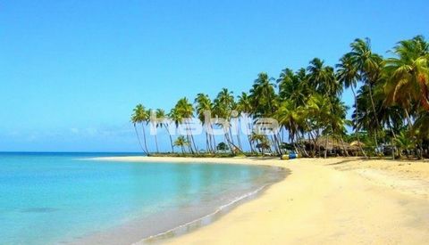 Traiga el siguiente resort a la famosa Playa Esmeralda, Miches, donde los últimos resorts Temptation y ClubMed están recientemente abiertos y ahora en funcionamiento. Hable con nosotros para tener su huella en uno de los mejores destinos del Caribe, ...