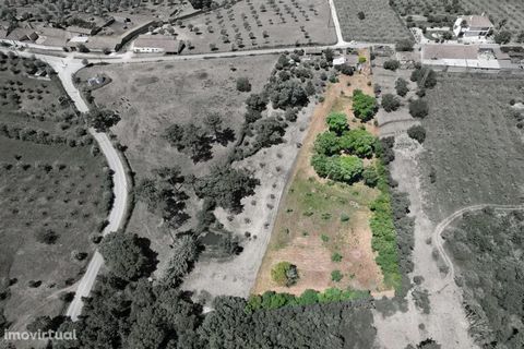 Land for construction with an area of 5780m2, located about 10 minutes from the city of Tomar. Excellent land for the construction of your villa, in a quiet area. Its accessibility has a tar road and a dirt road. Excellent sun exposure. By choosing t...