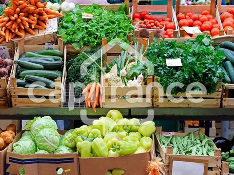 Dpt Pas de Calais (62), à vendre Région de béthune Fonds de Commerce de détail en Fruits et légumes
