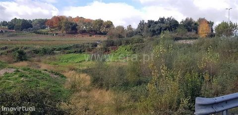 Land for construction with 3,000 m2 in Cabeceiras de Basto Land with: 3,000 m2 for construction, Plan Road front, A lot of passing zone, Access to the center of the village, Location 2 minutes from the A7. Good Deal! Buy with ERA Fafe ERA Fafe opened...