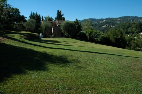 photo no. 2