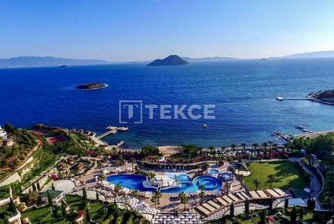 Apartments For Sale in Bodrum Turkey with Seafront and Hotel Concept Apartments are located in Bodrum Turgutreis. Turgutreis is the second-largest Bodrum peninsula in the area. Besides being famous for its 5 km sandy beaches, beach restaurants, and b...