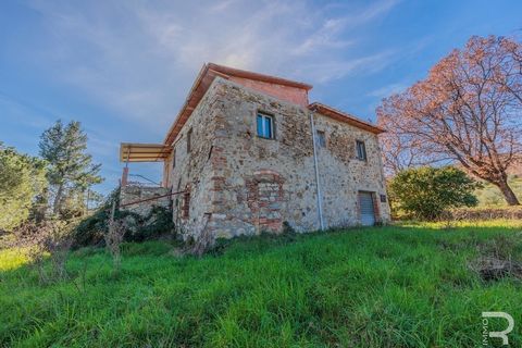 Peace, sun, views - this rustico in need of renovation has all the qualities that lovers of Tuscany are looking for in their future four walls. Situated on a plot of 19 hectares, the former farmhouse not only offers endless privacy but also an incomp...