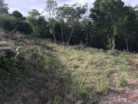Serviced building land with a surface area of 785m2. For any information, you can contact Mr. Frédéric RODRIGUEZ on ... by email at the address: ... (commercial agent 2017 AC15) Price including agency fees: 75 000€ - Price excluding agency fees: 69 0...