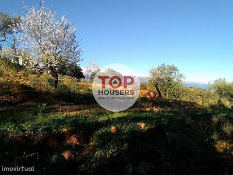 Rustic land with approximately 7 hectares for sale in Desbarate, between Santa Catarina da Fonte do Bispo and São Brás de Alportel. It is a land of dryland, tree cultivation (carob trees, dried fruits, olive groves, horticles, aromatic plants, medron...