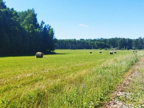 Участок 10 соток крайний, граничит с соснами. Назначение - земли населенных пунктов/ИЖС, электричество подключено, на участок выделено 15 кВт электричества. Никаких доплат. Возможен умеренный торг. Показ в любое время. #7712491#