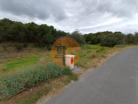 Grundstück mit 15.280 m2, Murteira de Cima - Azinhal - Castro Marim - Algarve. Möglichkeit zum Bau einer Lagerhalle. Land mit Wasser und Strom in der Nähe. Es hat viele Bäume, wie Kiefern. Flaches Grundstück mit guter Zufahrt über Teerstraße. Freier ...