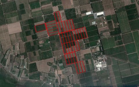 This asset consists of 37 fields in the Fasouri area of Akrotiri for sale, Limassol. The asset has a total area 383,933qm. All fields have a regular shape with a flat surface, benefit from c. 50m road frontage along a registered dirt road and are cul...
