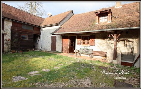 Dpt Loiret (45), à vendre LA NEUVILLE SUR ESSONNE Maison Pierres apparentes 7p, 5 chambres, Grange, Jardin 5000m²