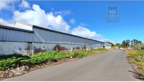 Warehouse built on a single floor, with 1,000 m2 of total area (built on a plot of land with 1,000 m2), located in a medium-sized industrial allotment, at Km 8 of Estrada da Ribeira Grande, next to the accesses to the parishes of Rabo de Peixe and Pi...