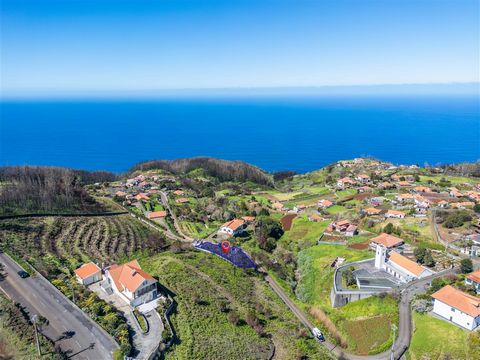 We are offering this opportunity to acquire a 715 m² plot of land located in Porto Moniz, on the island of Madeira, a very attractive location, with a southerly orientation that provides abundant sun exposure throughout the day. This plot offers a st...