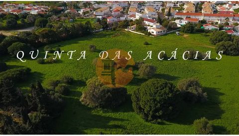Farm for sale close to the urban center. A farm,.heritage of Algarve tradition, with traces of modernity, a true oasis in the urban perimeter of Vila Nova de Cacela and close to the famous Manta Rota beach. This property, with unique characteristics,...