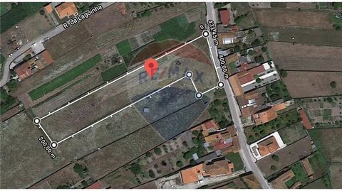 Land located on Rua Dr. João Simões Cúcio, in Portomar with a total area of 5000 m2. Possibility of housing construction. Front of 48 m. For more information contact.
