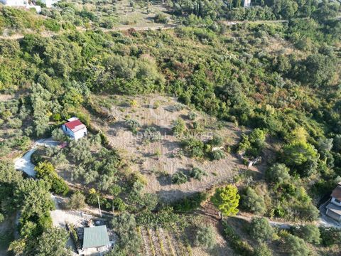 Ogliastro Cilento - We offer for sale Agricultural Land of approximately 5000 m2 with Ruin, located a few kilometers from Agropoli. The land, located in a privileged position, enjoys a panoramic view of the sea, mainly hilly, with a flat area where t...