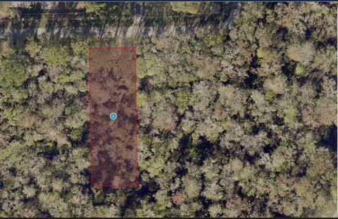 A VACANT LOT IN ASTOR in LAKE COUNTY!!! Two more adjacent lots available from the same owner at the same price.