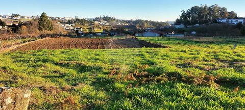 Land for sale Rustic land for cultivation with 2143m2, has water and public sanitation implemented on the street. Flat and fertile land with good access. Quiet area with houses on the street and close to the main centers of Baltar and Paredes. Great ...