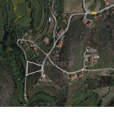 Forest land with an area of 4400m2, inserted in agricultural spaces covering a minimum percentage of housing spaces according to the PDM of the Municipal Council of Castelo de Paiva. It is located in Cabril, Vila Verde, São Martinho de Sardoura. Dist...