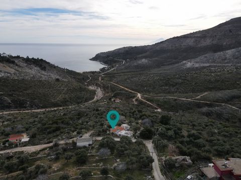 Property Code: 1968 - House FOR SALE in Thasos Thimonia for € 48.000 Exclusivity. This 52 sq. m. House is on the Ground floor and features 1 Bedroom, an open-plan kitchen/living room, bathroom . The property also boasts tiled floor, view of the Sea, ...