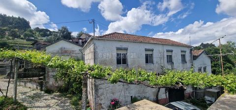 Small farm in ravessa da Granja -Paredes de Viadores and Manhuncelos, in quiet and welcoming area, small farm with fantastic views and excellent sun exposure. With a gross area of 348m2 where stands out the fact that they are two dwelling houses. Has...