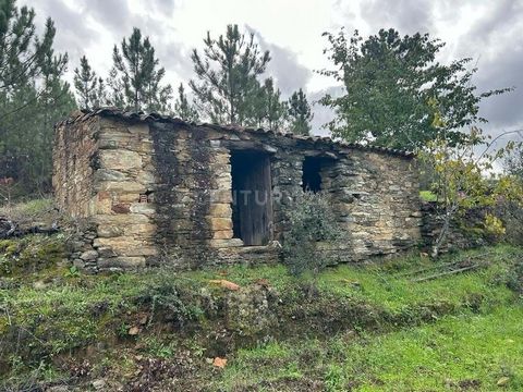 Excellent land with 2020 m2 located in the village of Sobrainho dos Gaios. The land contains two wells Fruit trees Olive trees and vines There is also a rural building made entirely of stone. Close to the river beach of Alvito da Beira and the river ...