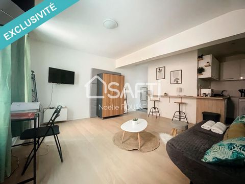 Dive into the heart of downtown Argenteuil and be charmed by this gem: a one-room studio that embodies the epitome of urban living without compromise. In a small condominium with no charges, you will discover the luxury of complete privacy, with no n...