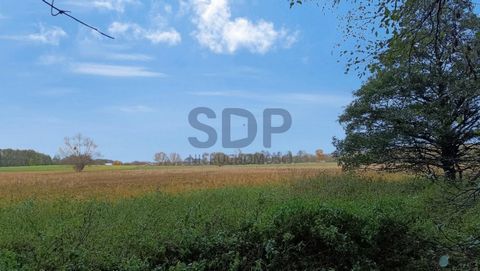 Offer supervisor: Emilian Janusz Tel. Basic information: An agricultural plot, undeveloped, at a distance of 20 km from Wrocław. Area 195 ares. Offer supervisor: Emilian Janusz Tel.