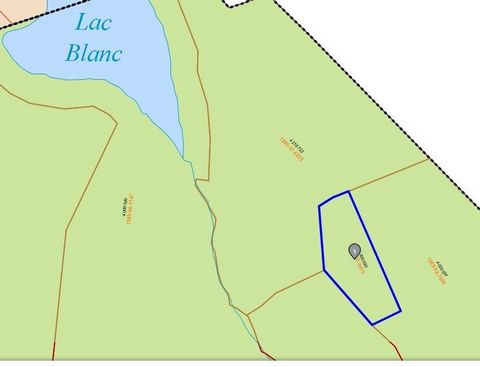 NON BUILDABLE Woodlot for sale in Pont-Rouge! Beautiful area of 26,000 m2, ideal for hunting or forest camp. Located on top of a mountain overlooking a maple grove. Flexible take-over. Make your offer! Sold without legal warranty of quality at the bu...